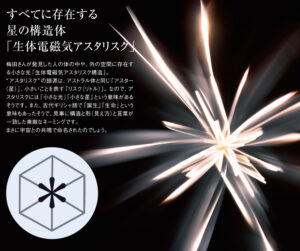 生体電磁気アスタリスク