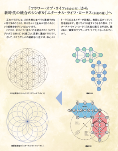 「フラワー・オブ・ライフ(生命の花)」から 新時代の統合のシンボル「エターナル・ライフ・ロータス(永遠の蓮)」へ