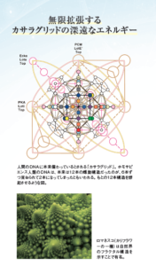 無限拡張する カサラグリッドの深遠なエネルギー