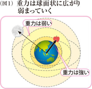 重力は球面状に広がり弱まっていく
