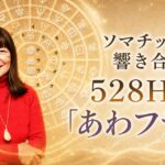 【WEB限定】ソマチッドが響き合う528Hzの「あわフラ」（後編）