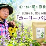 比類なき、聖なる薬草「ホーリーバジル」【地球】の声を聴く生き方 連載第15回（2026年11月号）